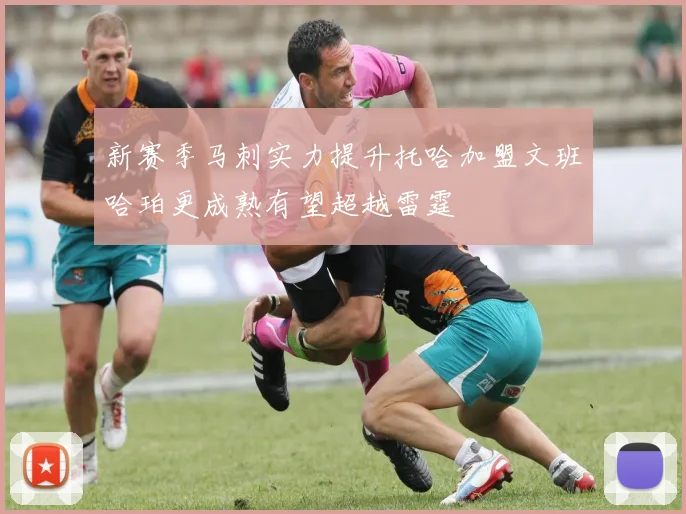 新赛季马刺实力提升托哈加盟文班哈珀更成熟有望超越雷霆