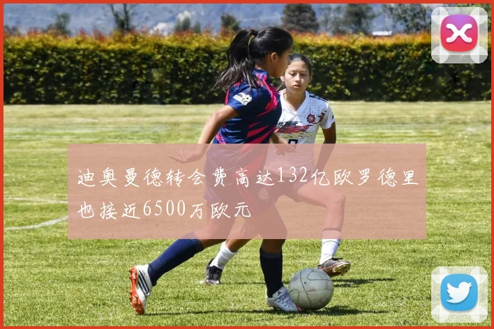 迪奥曼德转会费高达132亿欧罗德里也接近6500万欧元